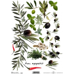 Papier ryżowy A4 R0029, oliwki gałązki